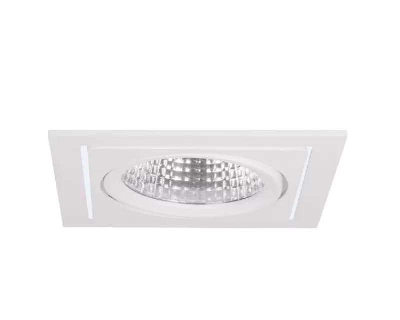 Spot Light - 0118